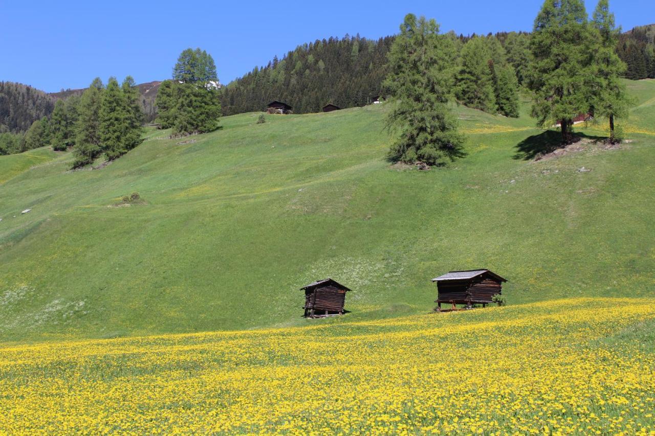 Landhuus Frauenkirch Ξενοδοχείο Εξωτερικό φωτογραφία